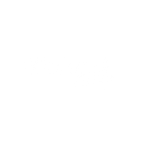 Vicionary